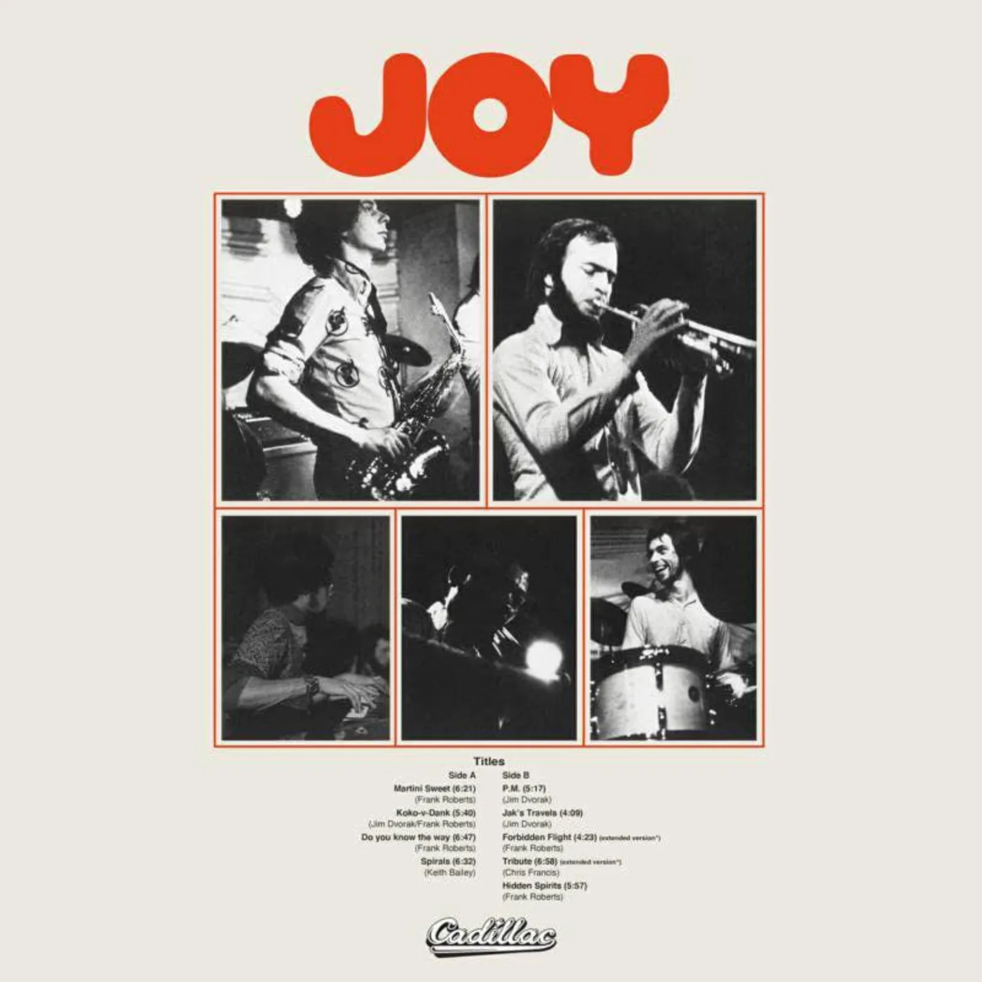 JOY Vinyl Record