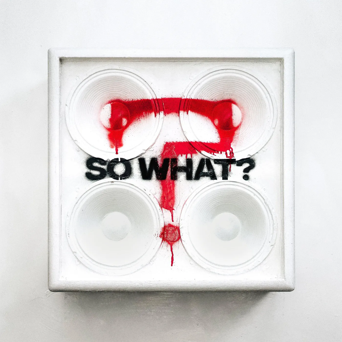 While She Sleeps So What Vinyl Record