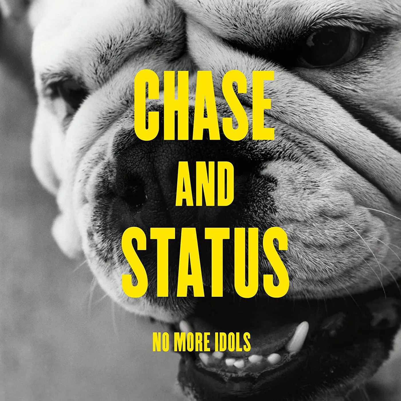 Chase & Status No More Idols (2LP) Vinyl Record