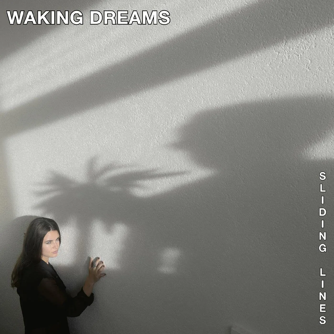 Waking Dreams SLIDING LINES Vinyl Record