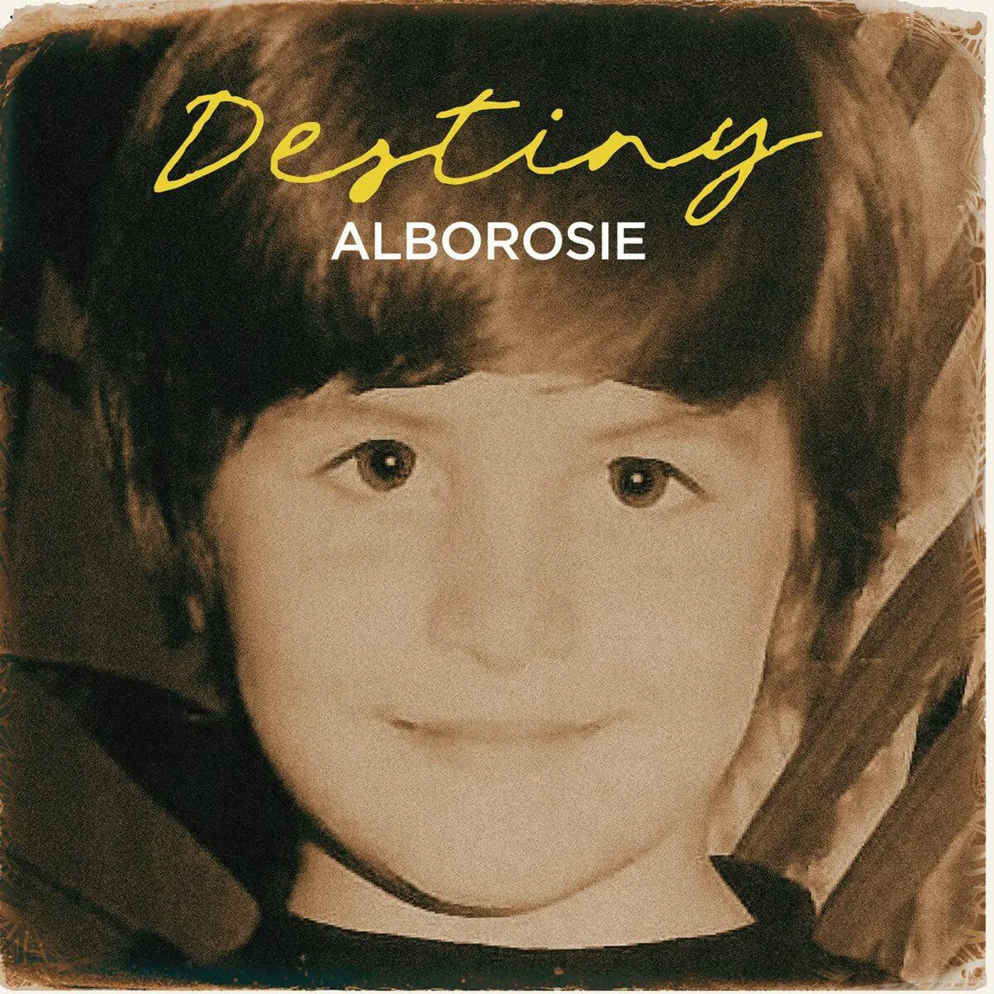 Alborosie Destiny Vinyl Record