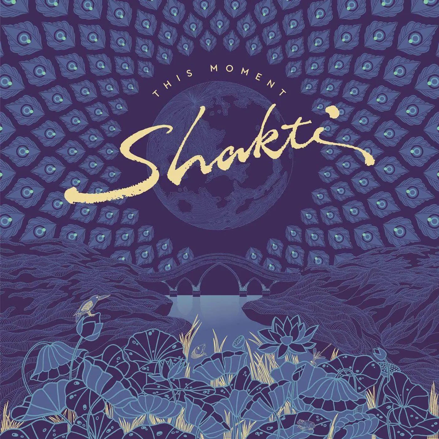 Shakti THIS MOMENT Vinyl Record