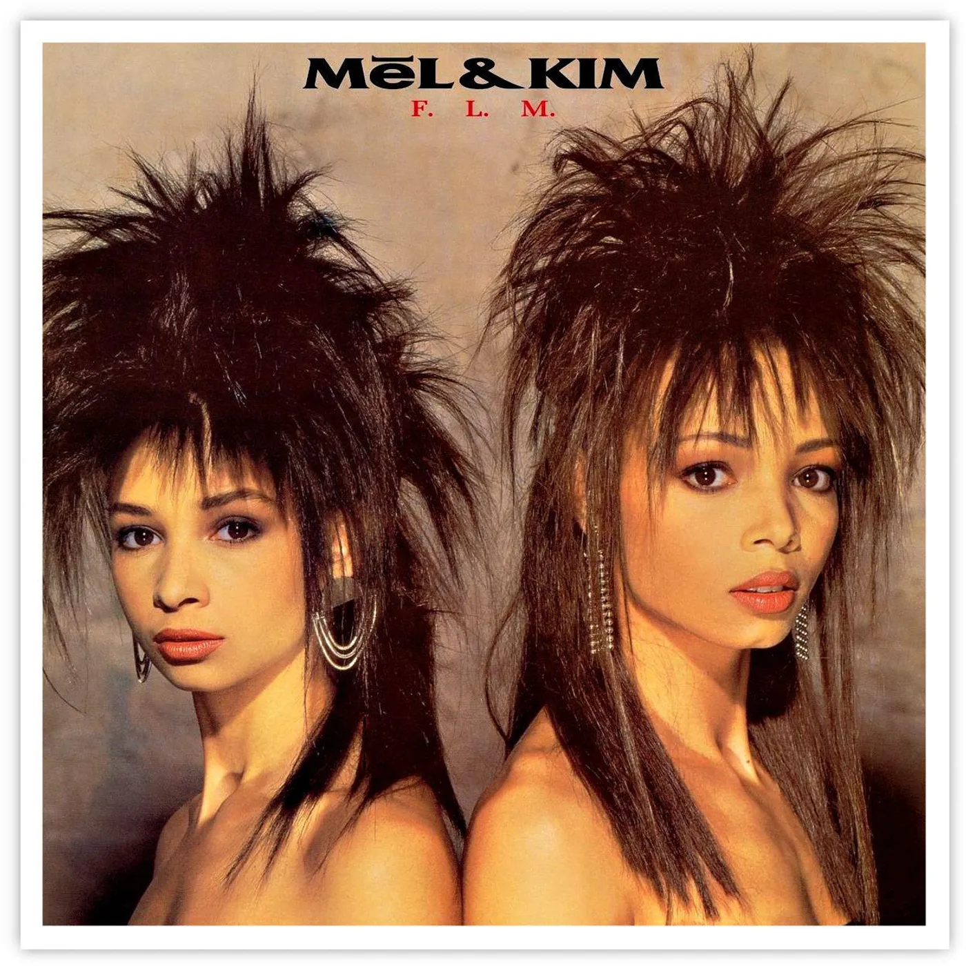 Mel & Kim F.L.M. Vinyl Record