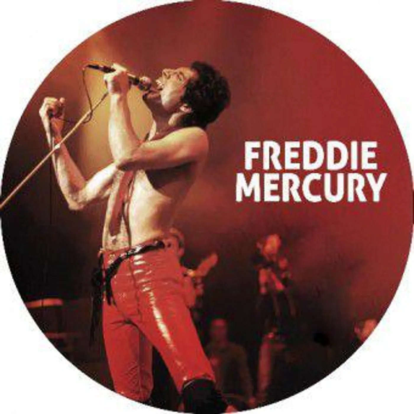 Freddie Mercury Vinyl Record