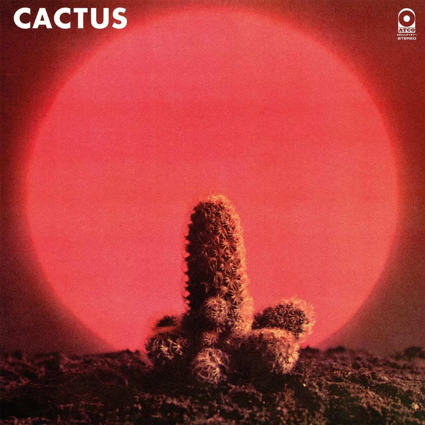 Cactus Vinyl Record