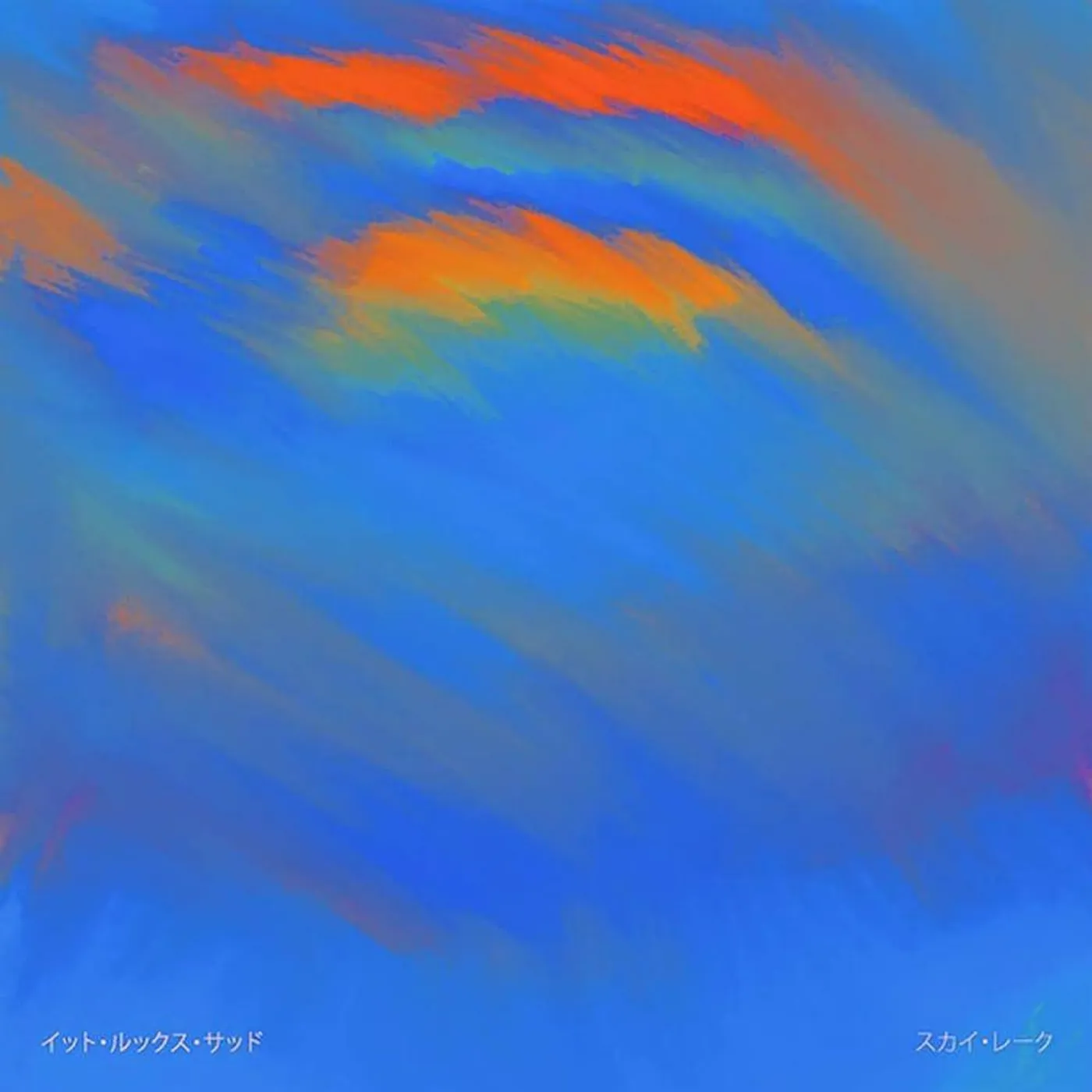 It Looks Sad. SKY LAKE Vinyl Record