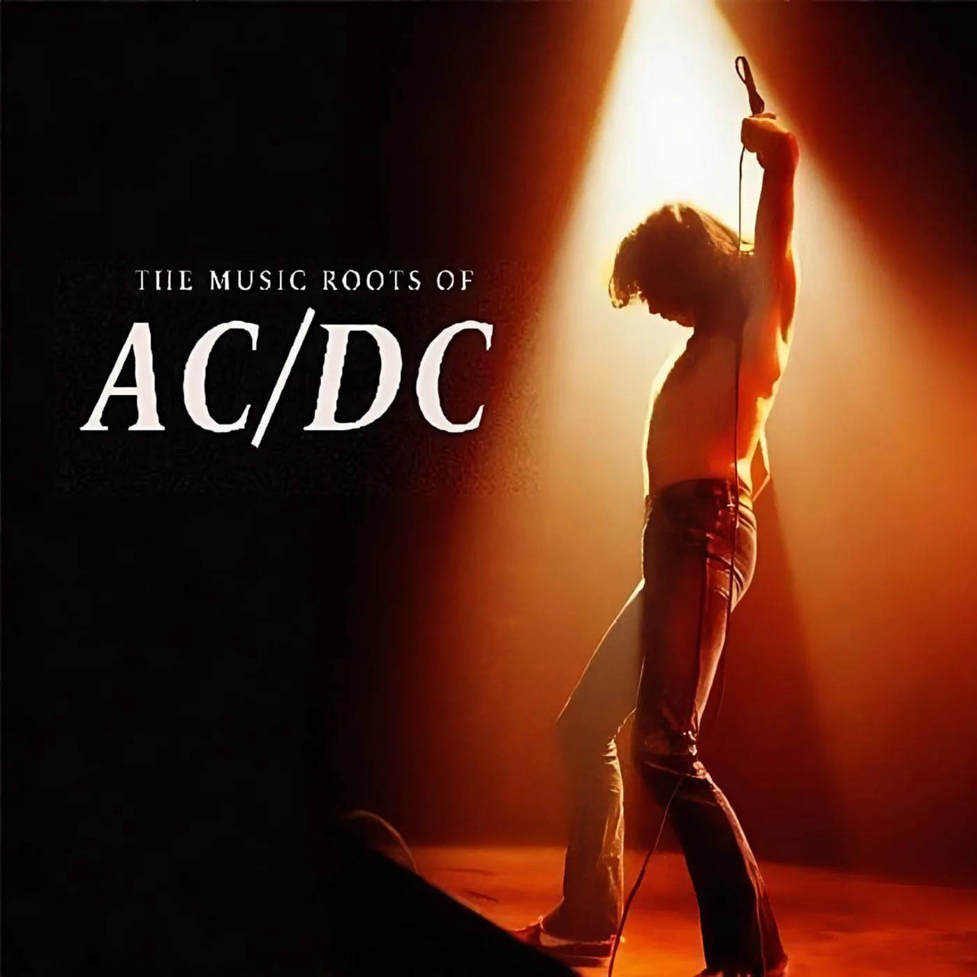 AC/DC The Music Roots Of Vinyl Record