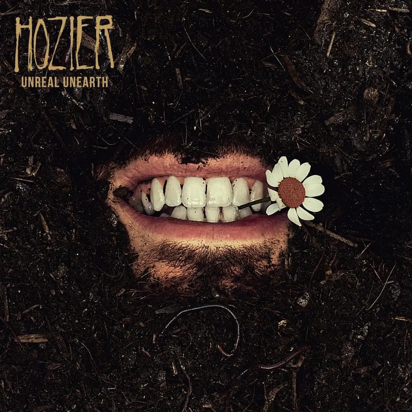 Hozier Unreal Unearth (2LP) Vinyl Record