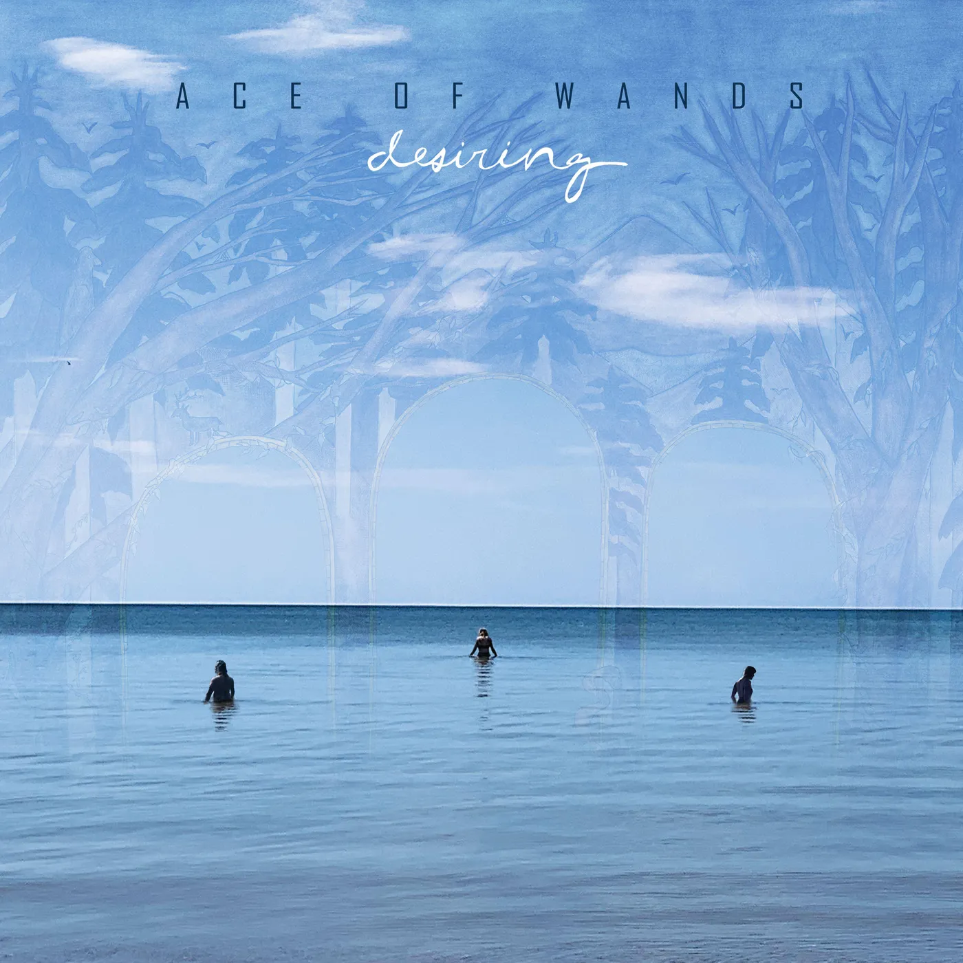 Ace of Wands DESIRING Vinyl Record