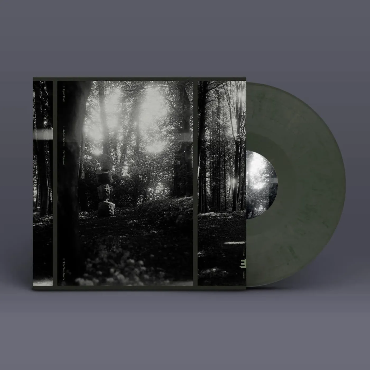 Eyolf Dale WAYFARERS Vinyl Record