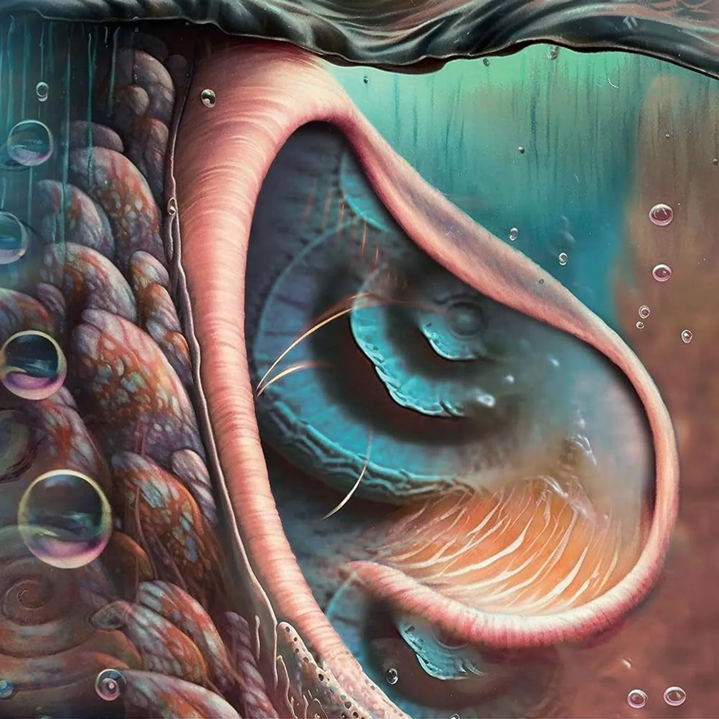 Meddle Reimgained - A Tribute To Pink Floyd / Var Vinyl Record