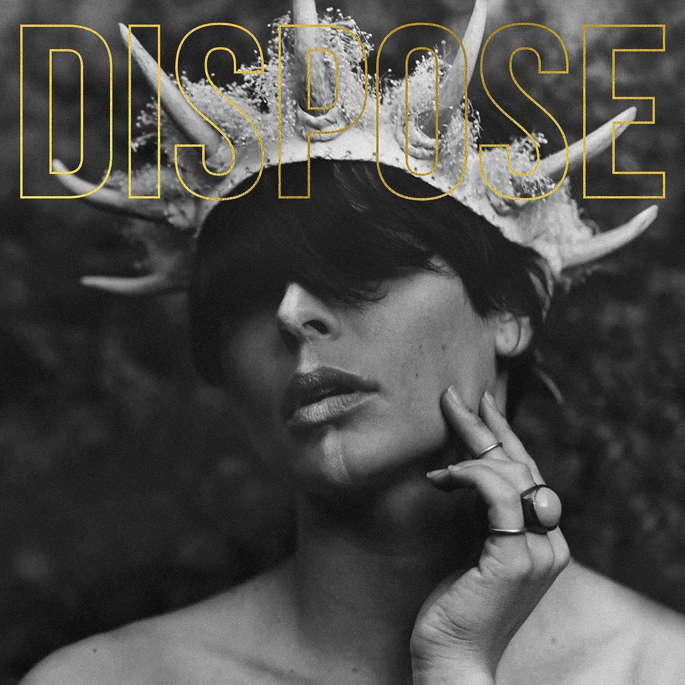 The Plot In You Dispose Vinyl Record