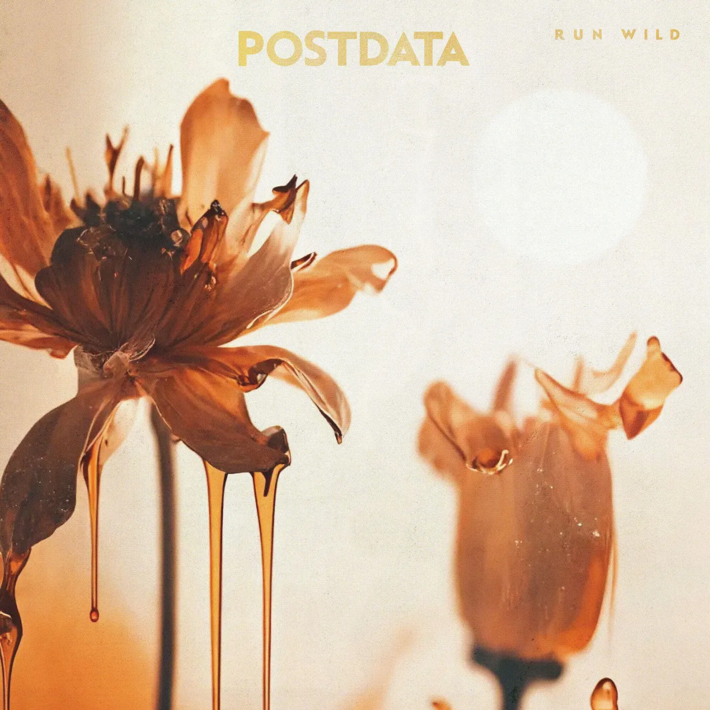 Postdata RUN WILD Vinyl Record