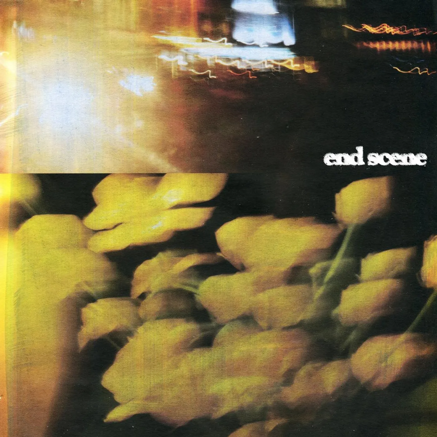 She's In Parties END SCENE Vinyl Record