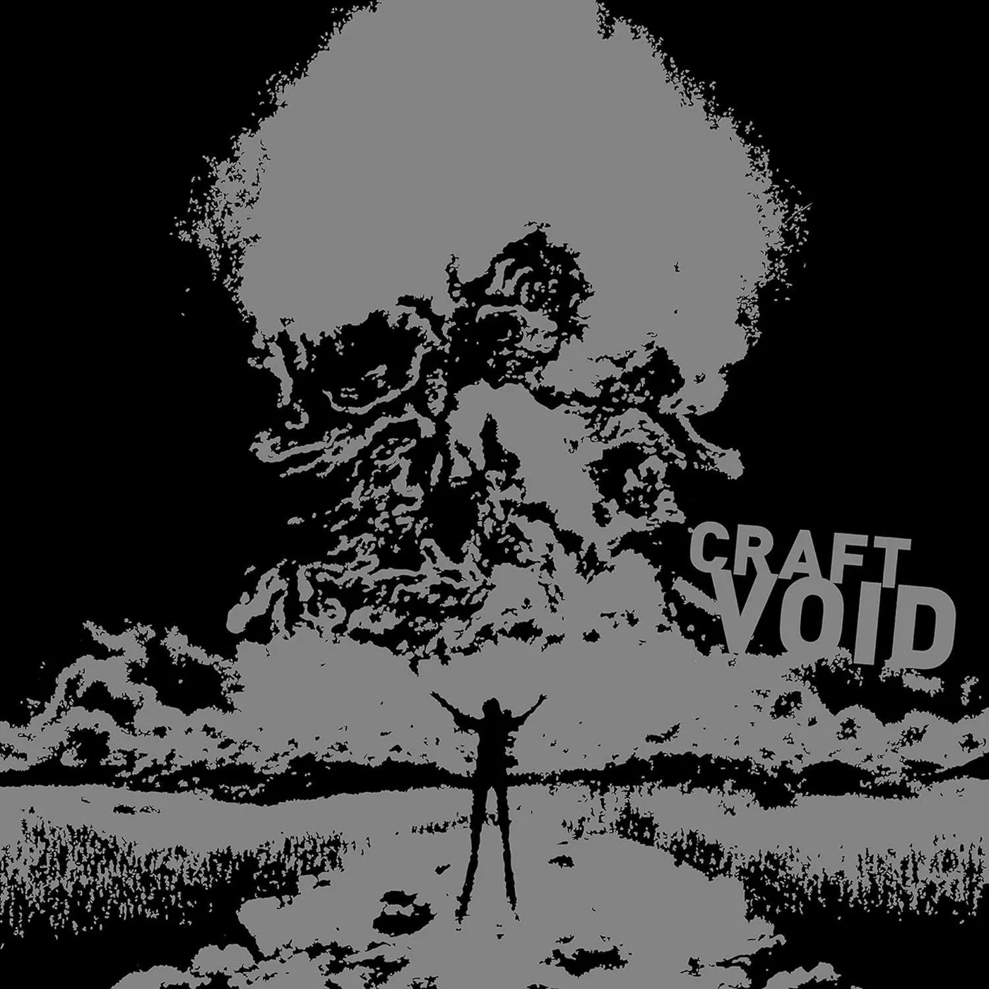 Craft Void (2LP/Silver/Limited Edition) Vinyl Record