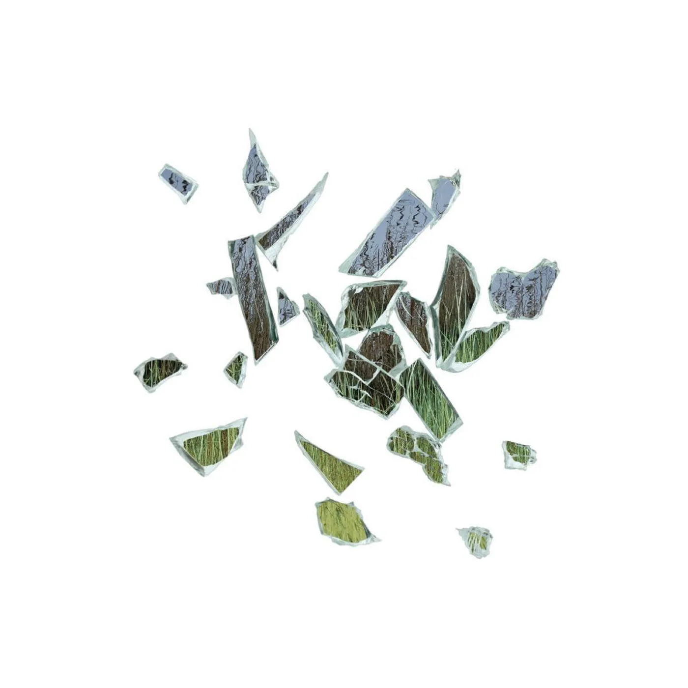 These New Puritans Field Of Reeds Vinyl Record