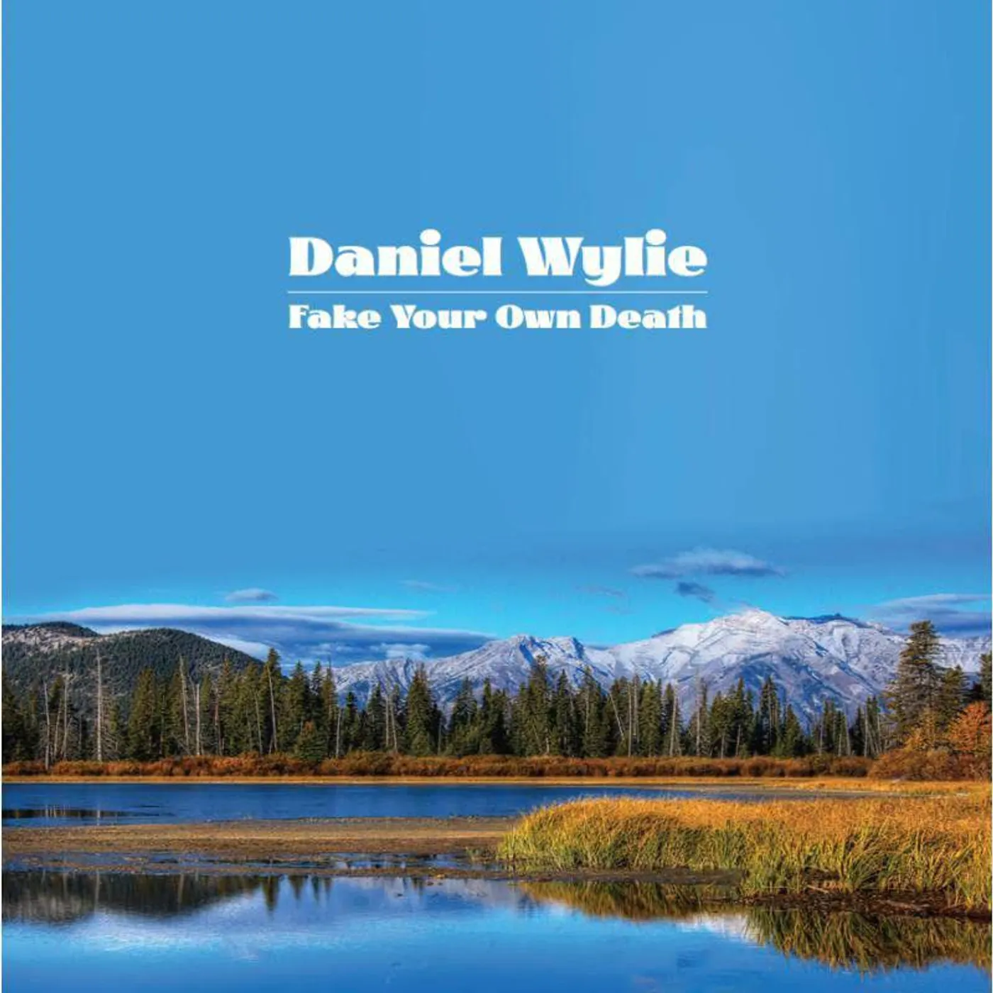 Daniel Wylie FAKE YOUR OWN DEATH Vinyl Record