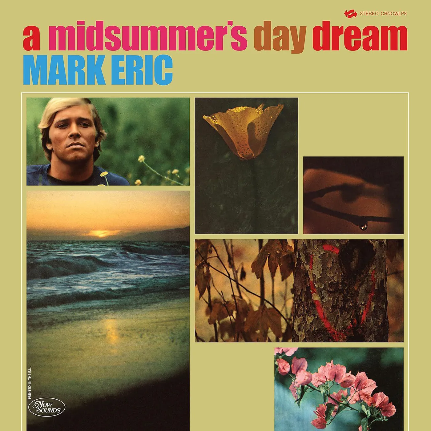 Mark Eric Midsummers Daydream Vinyl Record
