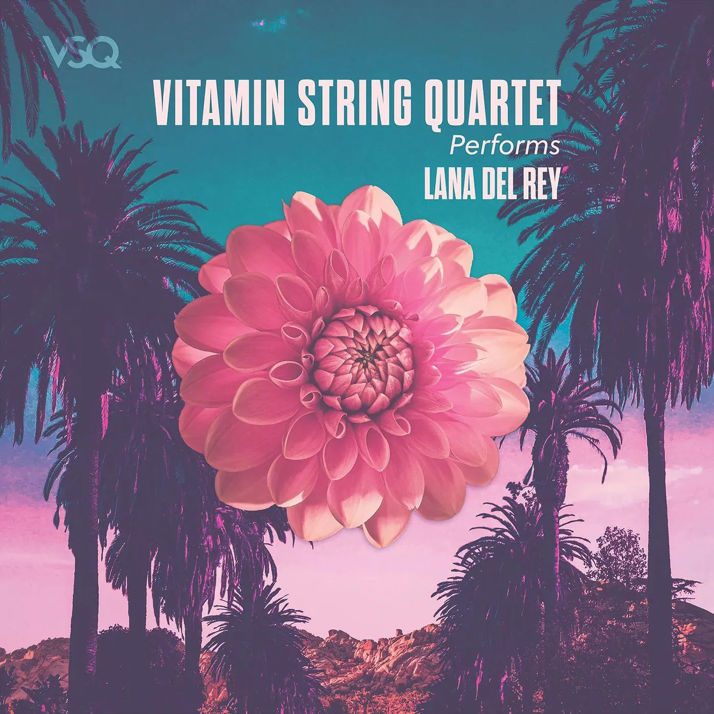 Vitamin String Quartet VSQ PERFORMS LANA DEL REY Vinyl Record