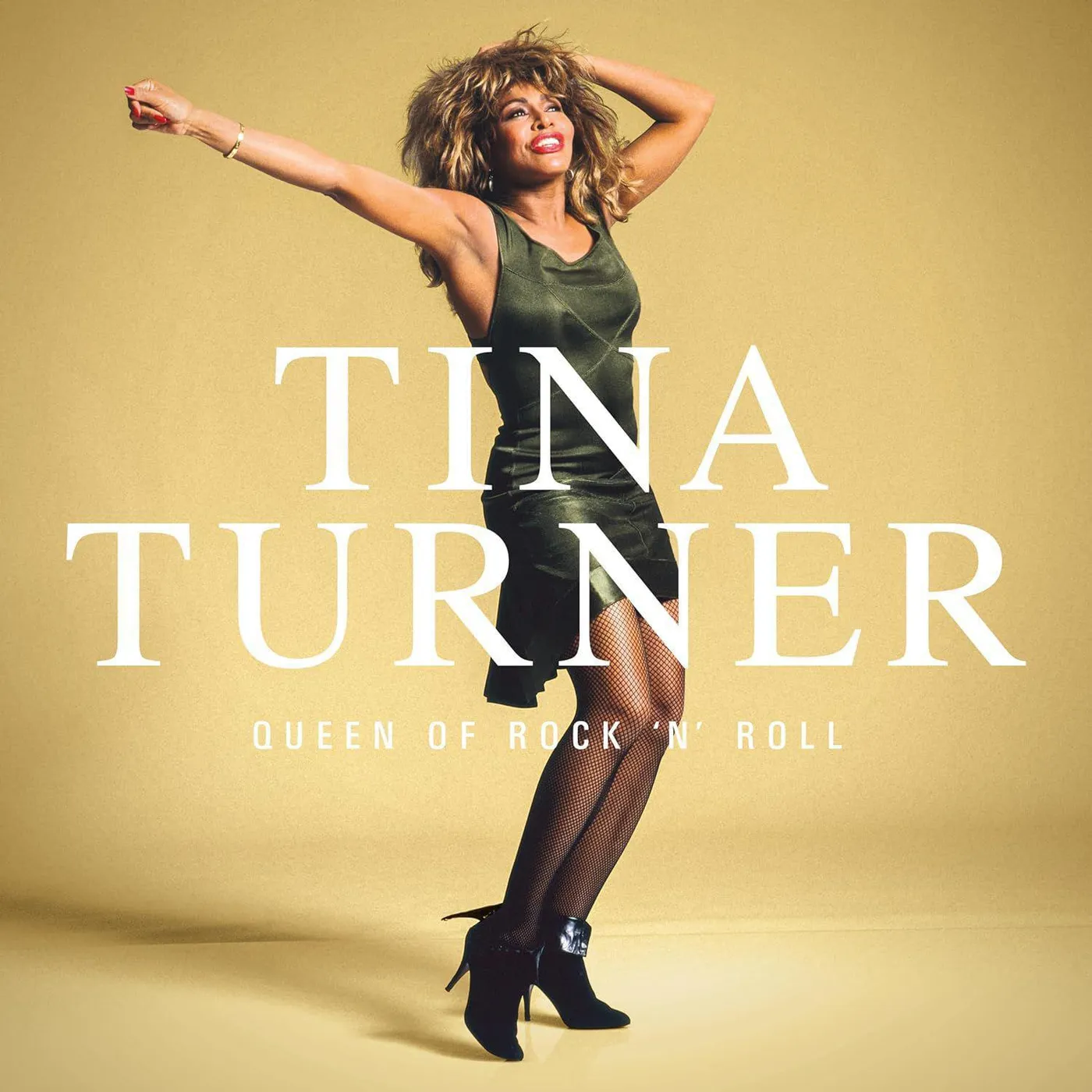 Tina Turner Queen Of Rock 'n' Roll (5LP Boxset) Vinyl Record