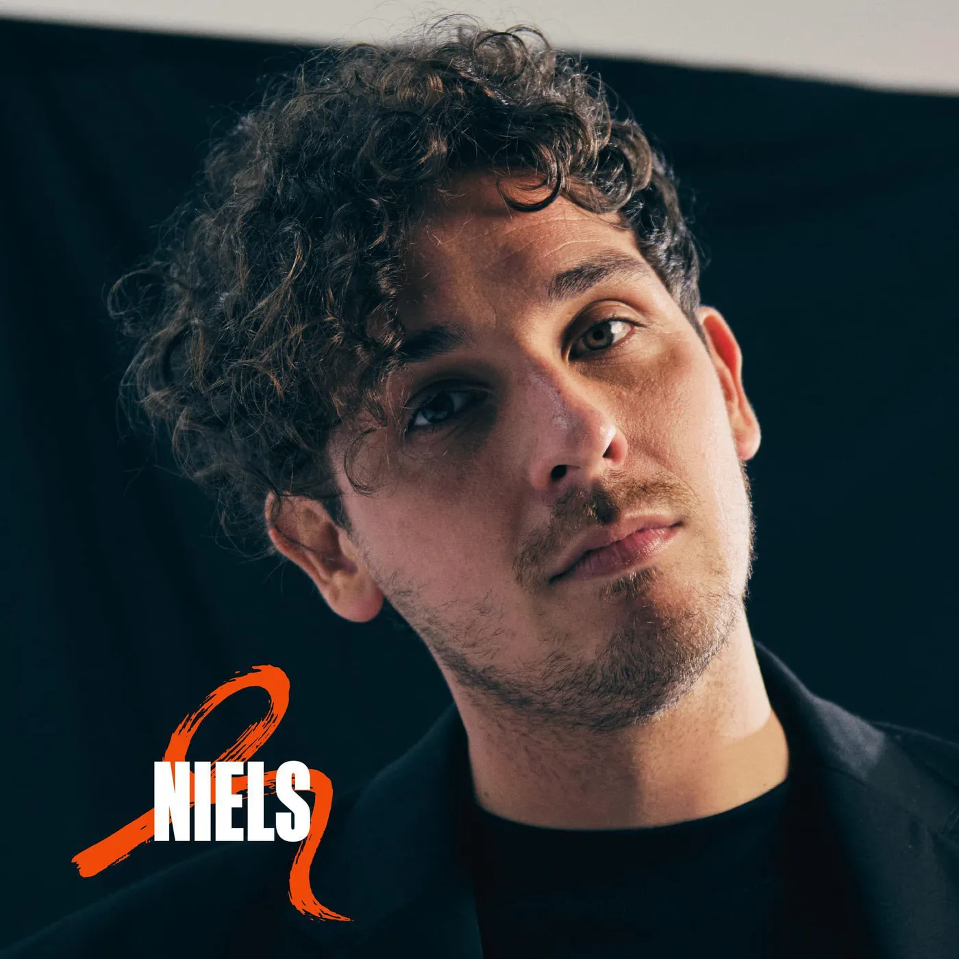 Nielson Niels Vinyl Record