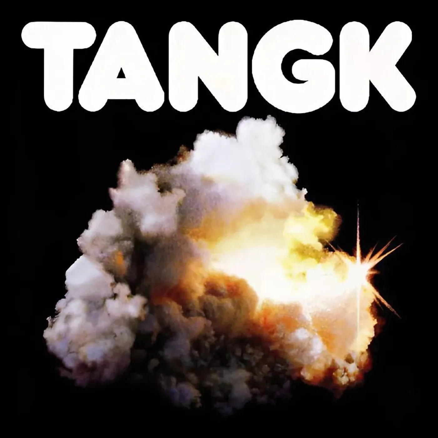 IDLES Tangk Vinyl Record