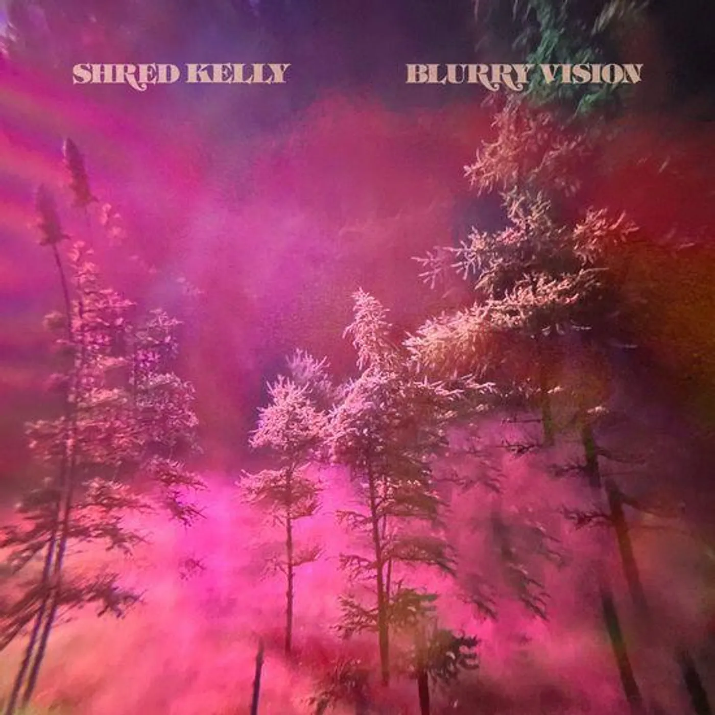 Shred Kelly Blurry Vision Vinyl Record