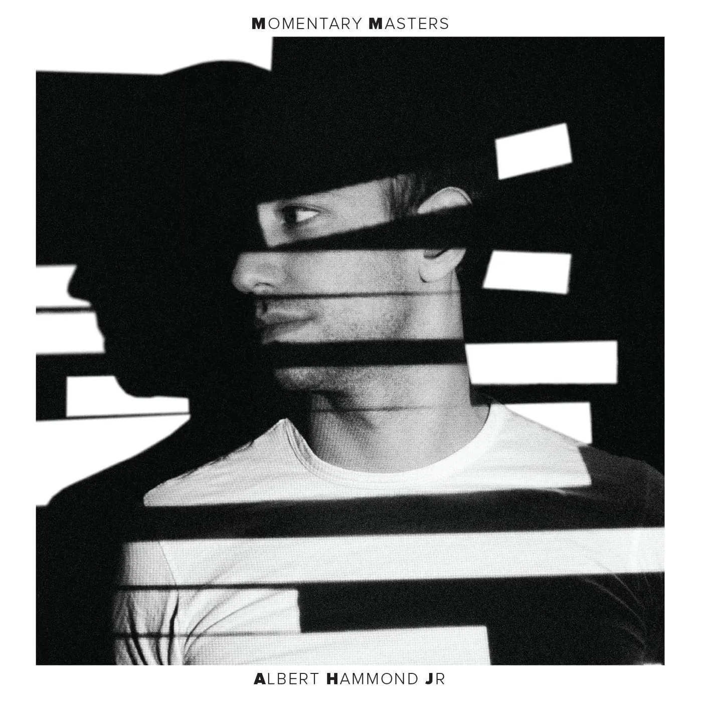 Albert Hammond Jr Momentary Masters Vinyl Record