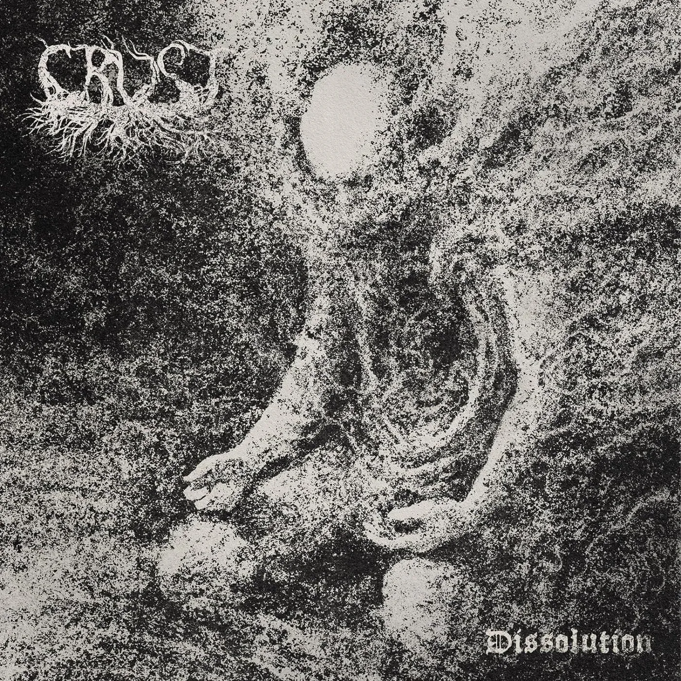 Crust Dissolution Vinyl Record