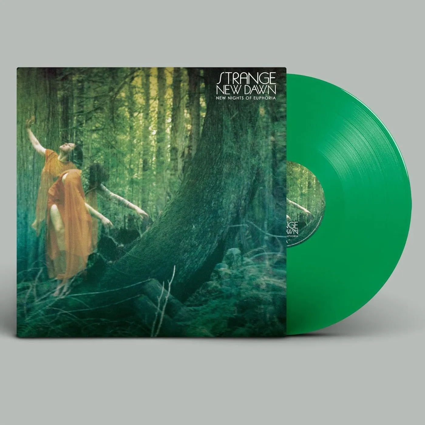 Strange New Dawn New Nights Of Euphoria Vinyl Record