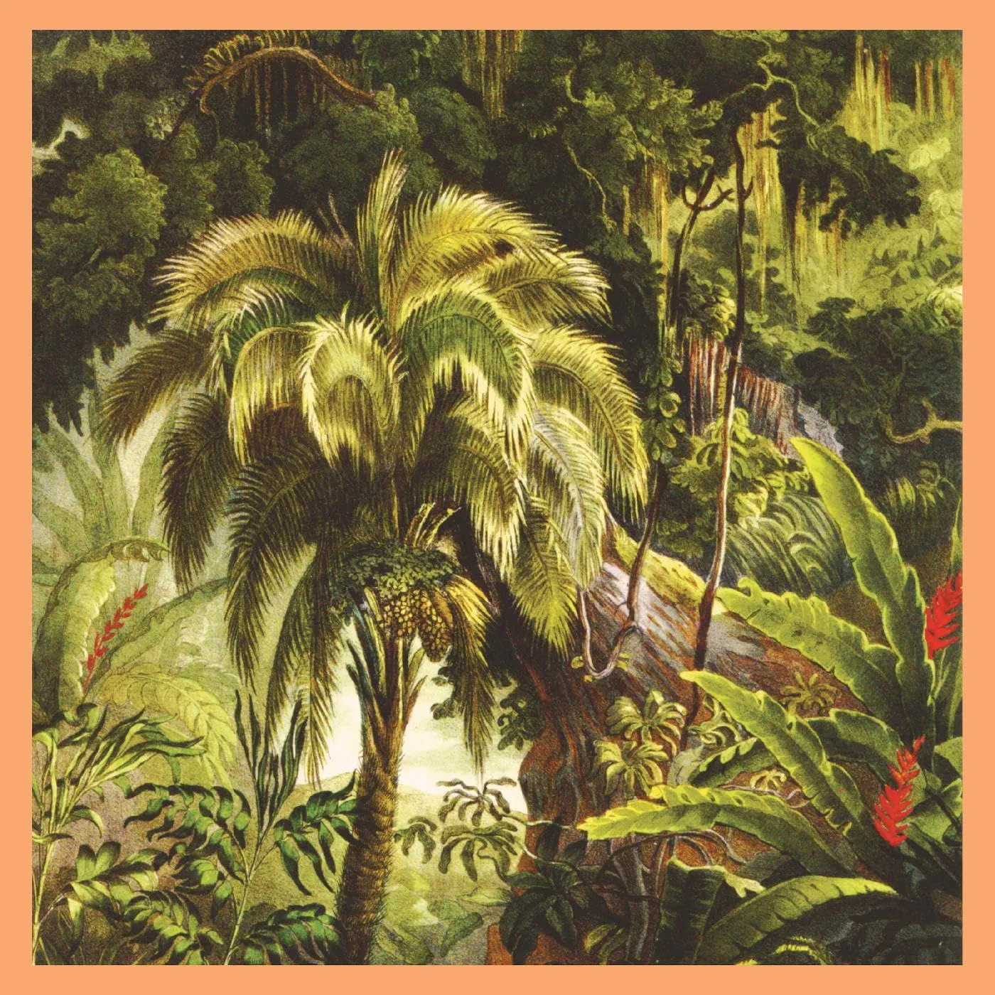 Xiu Xiu La Foret (Colored) Vinyl Record