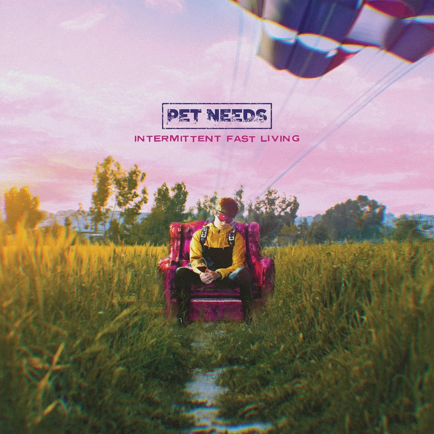 PET NEEDS Intermittent Fast Living Vinyl Record