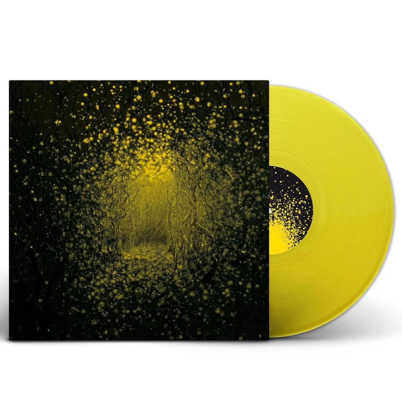 Antlers Burst Apart Vinyl Record