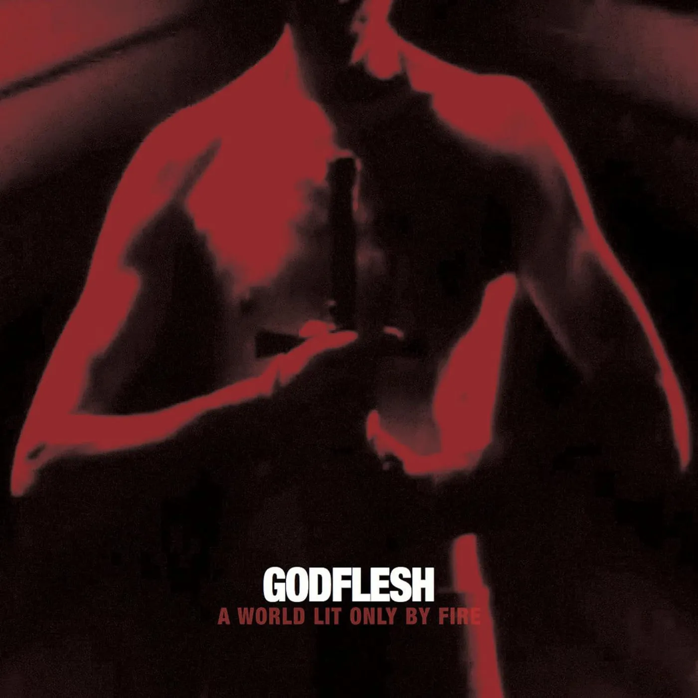 Godflesh WORLD ONLY LIT BY FIRE Vinyl Record