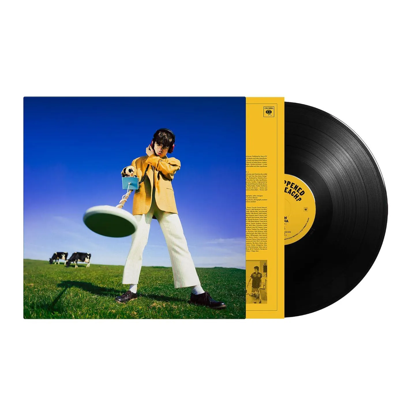 Declan McKenna What Happened To The Beach Vinyl Record
