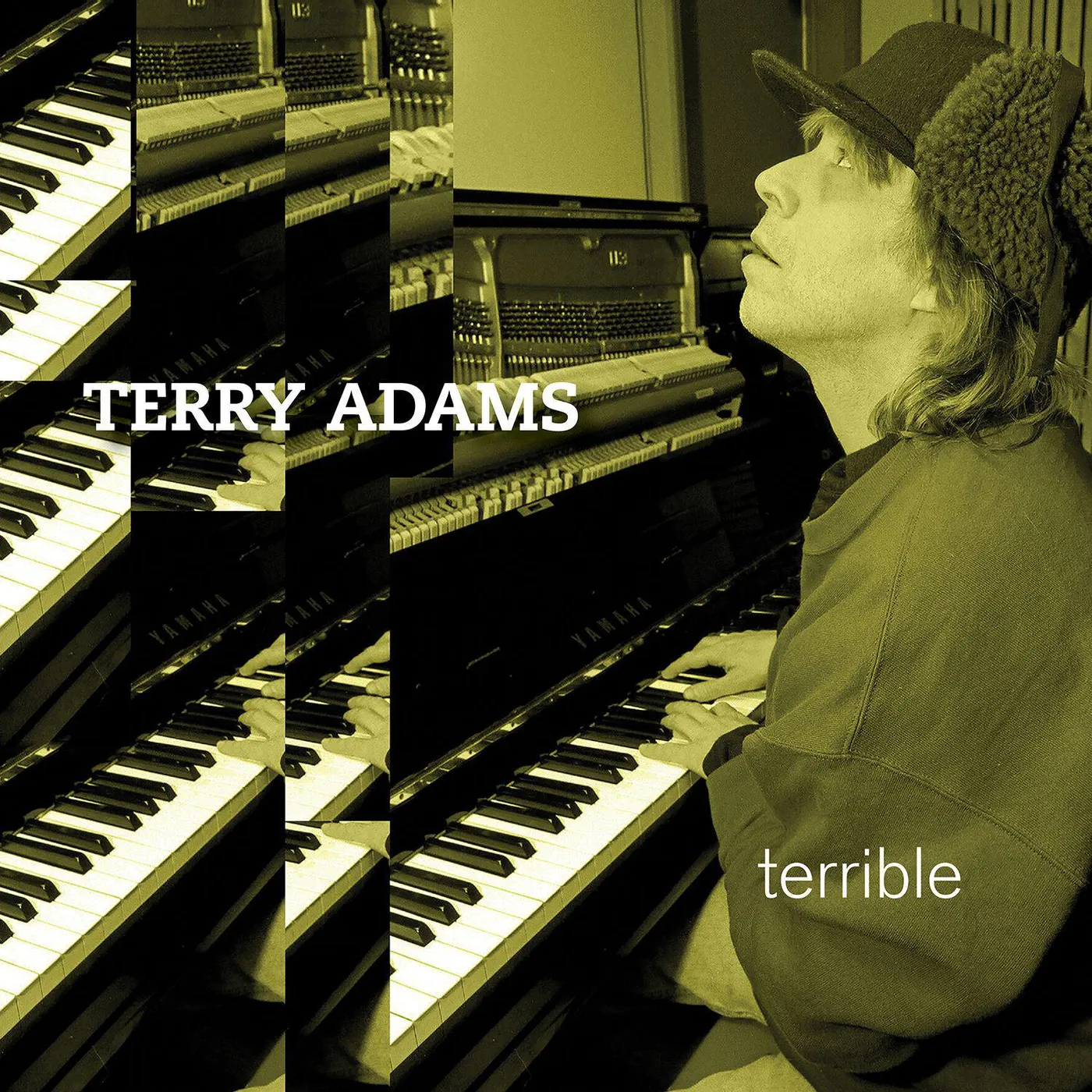 Terry Adams TERRIBLE Vinyl Record
