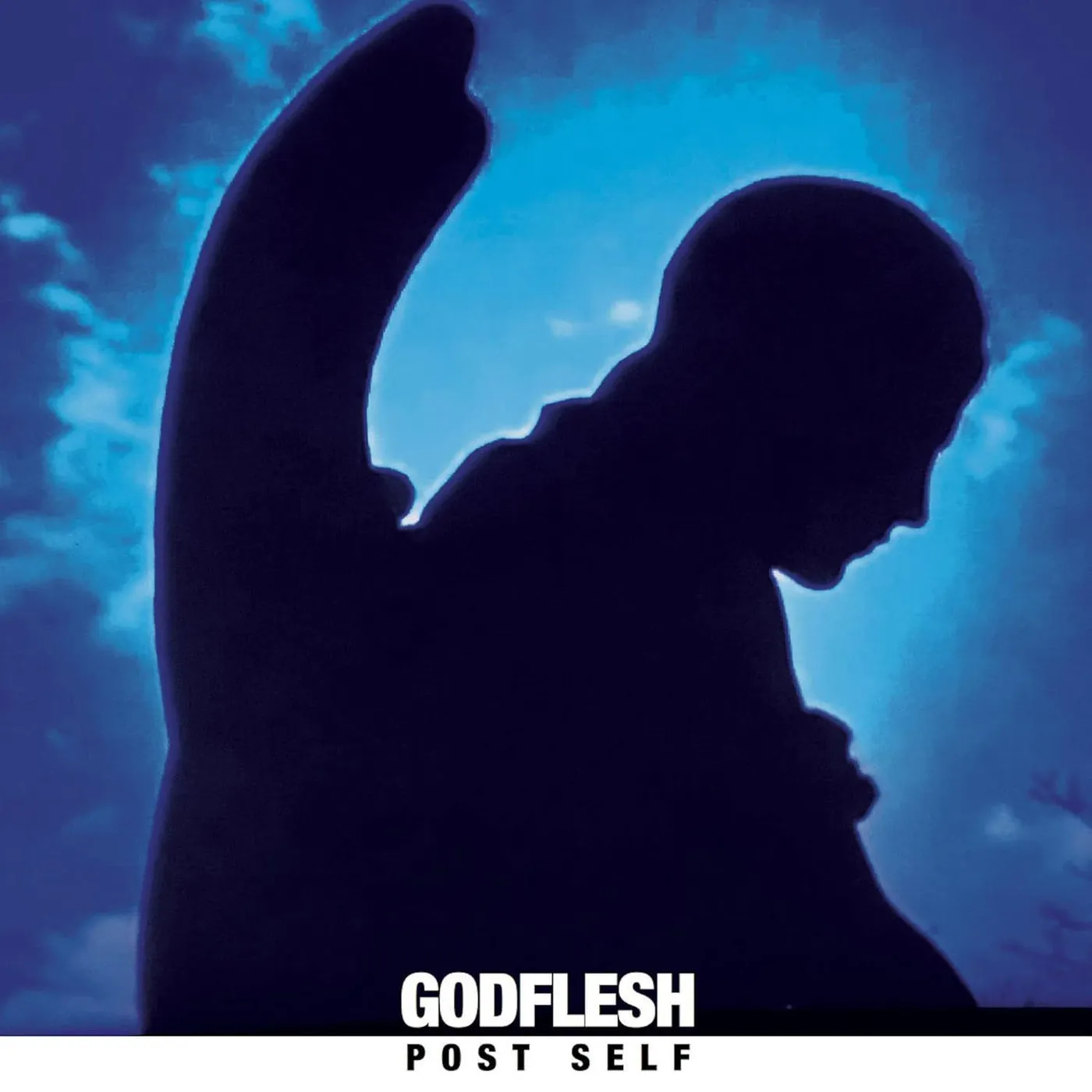 Godflesh Post Self Vinyl Record