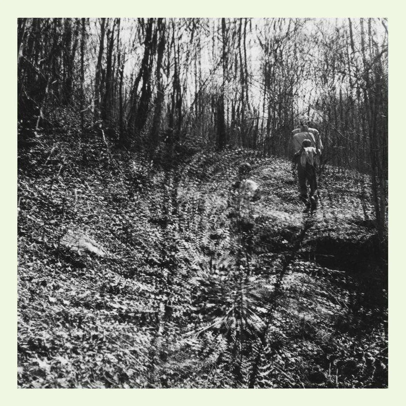 topographies Interior Spring Vinyl Record