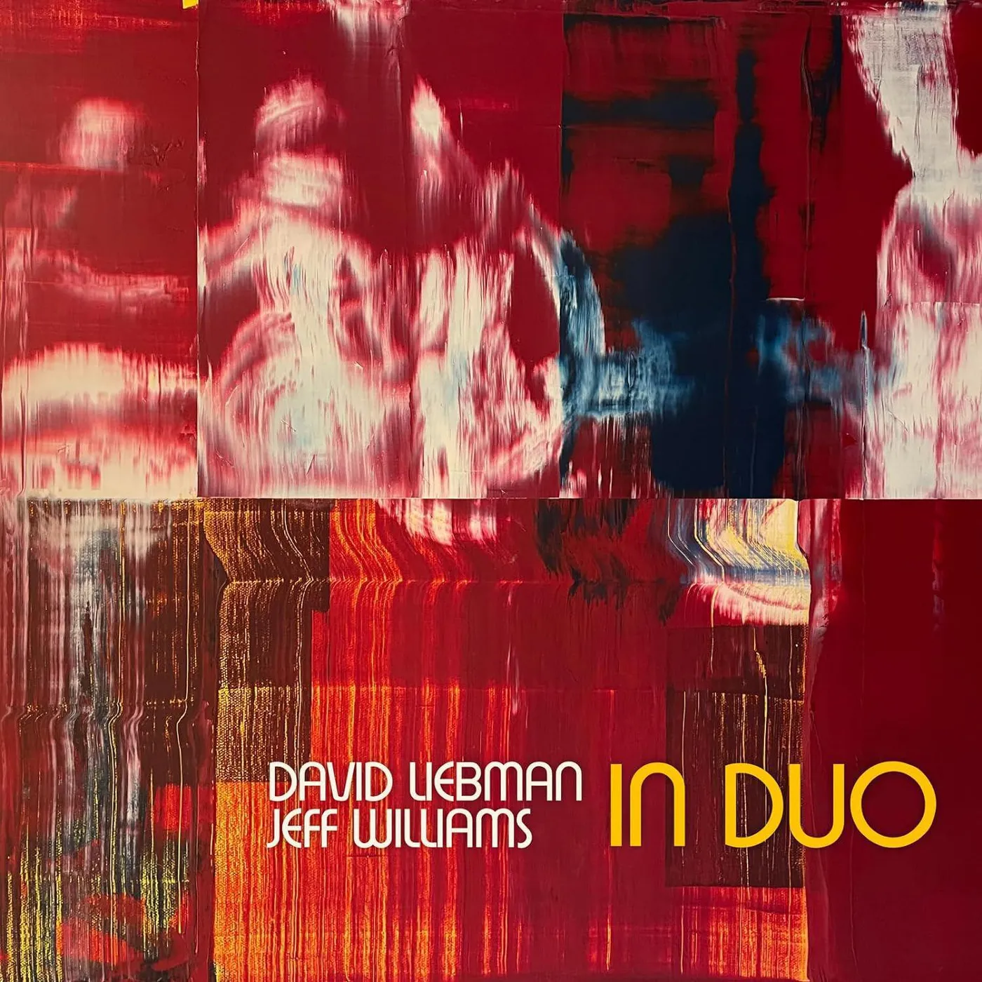 Dave Liebman / Jeff Williams In Duo Vinyl Record