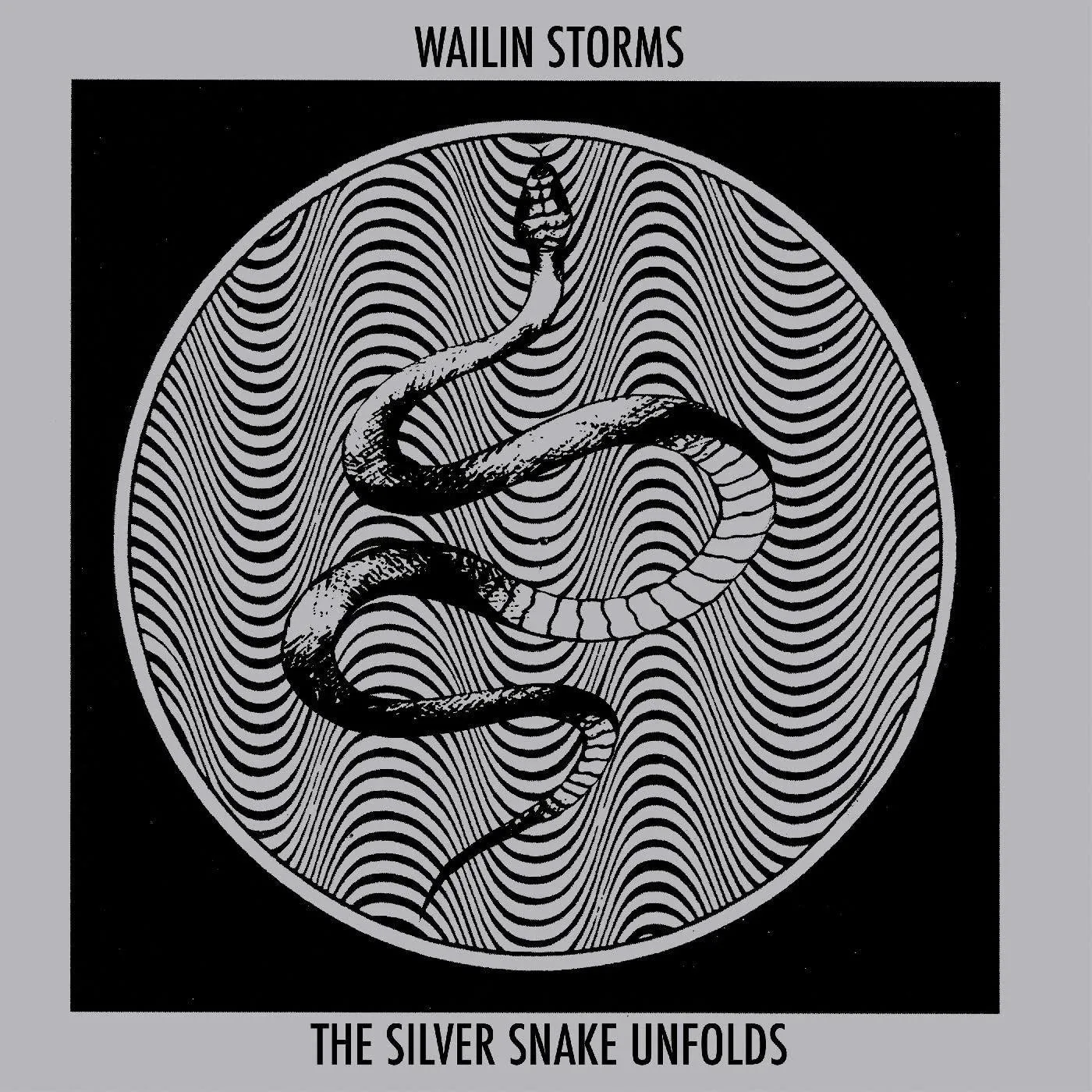 Wailin' Storms Silver Snake Unfolds (Blue & Black Galaxy) Vinyl Record