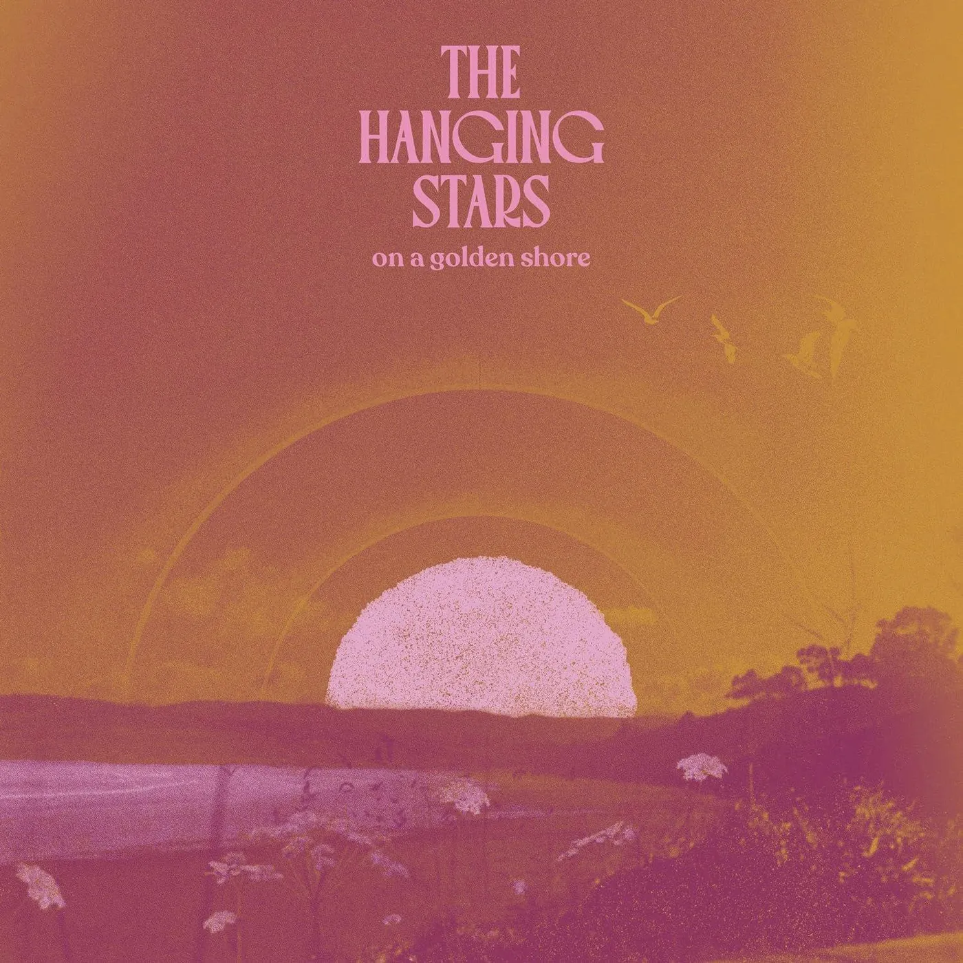 The Hanging Stars On A Golden Shore Vinyl Record