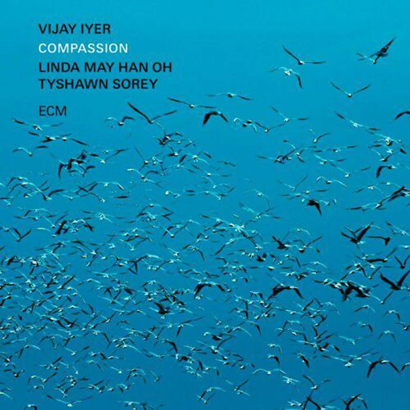 Vijay Lyer / Linda May Han Oh / Tyshawn Sorey Compassion Vinyl Record