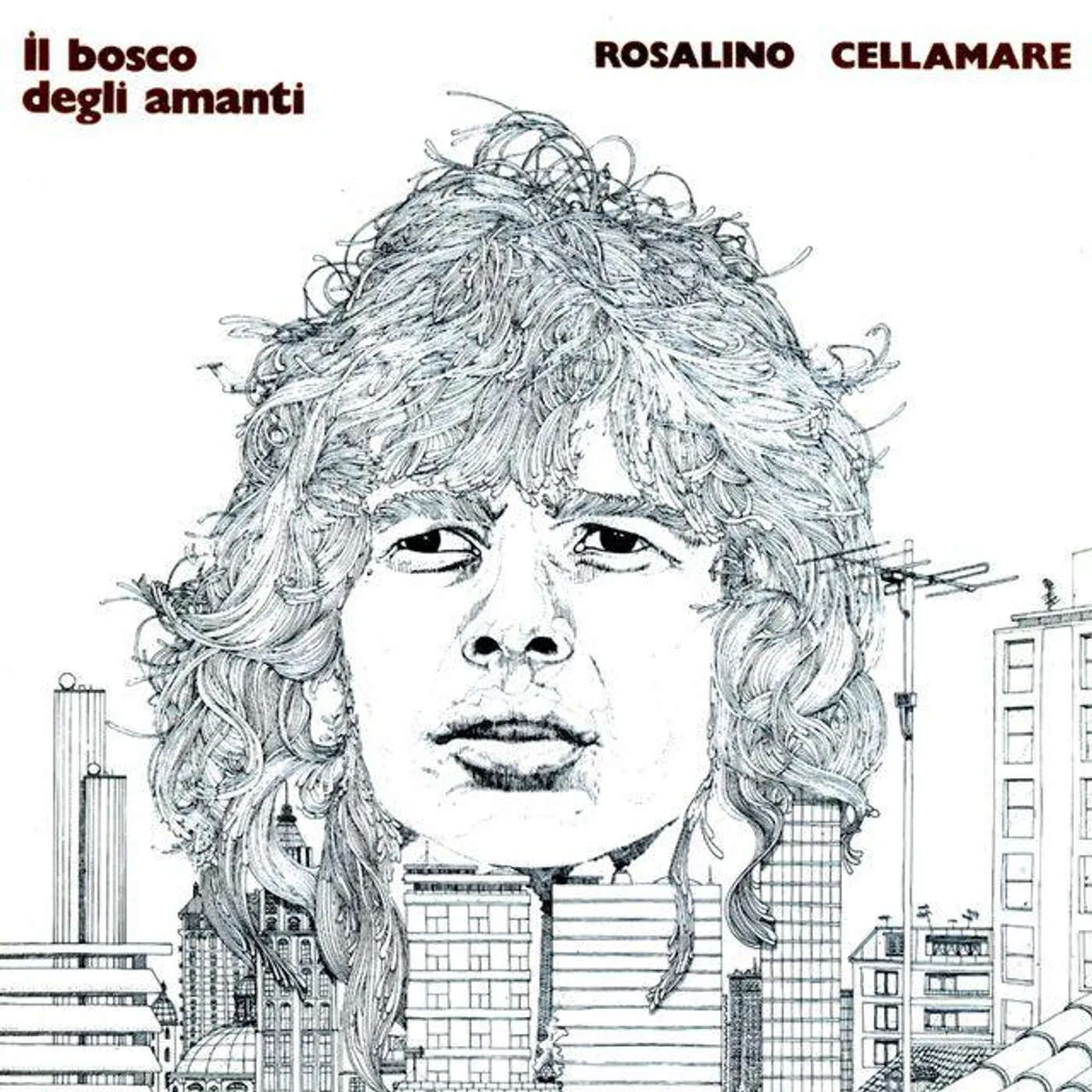 Ron Il Bosco Degli Amanti Vinyl Record