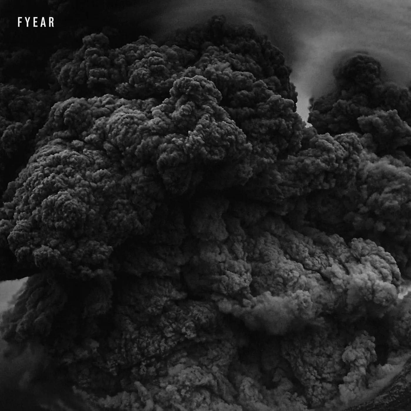  FYEAR (180 Gram) Vinyl Record