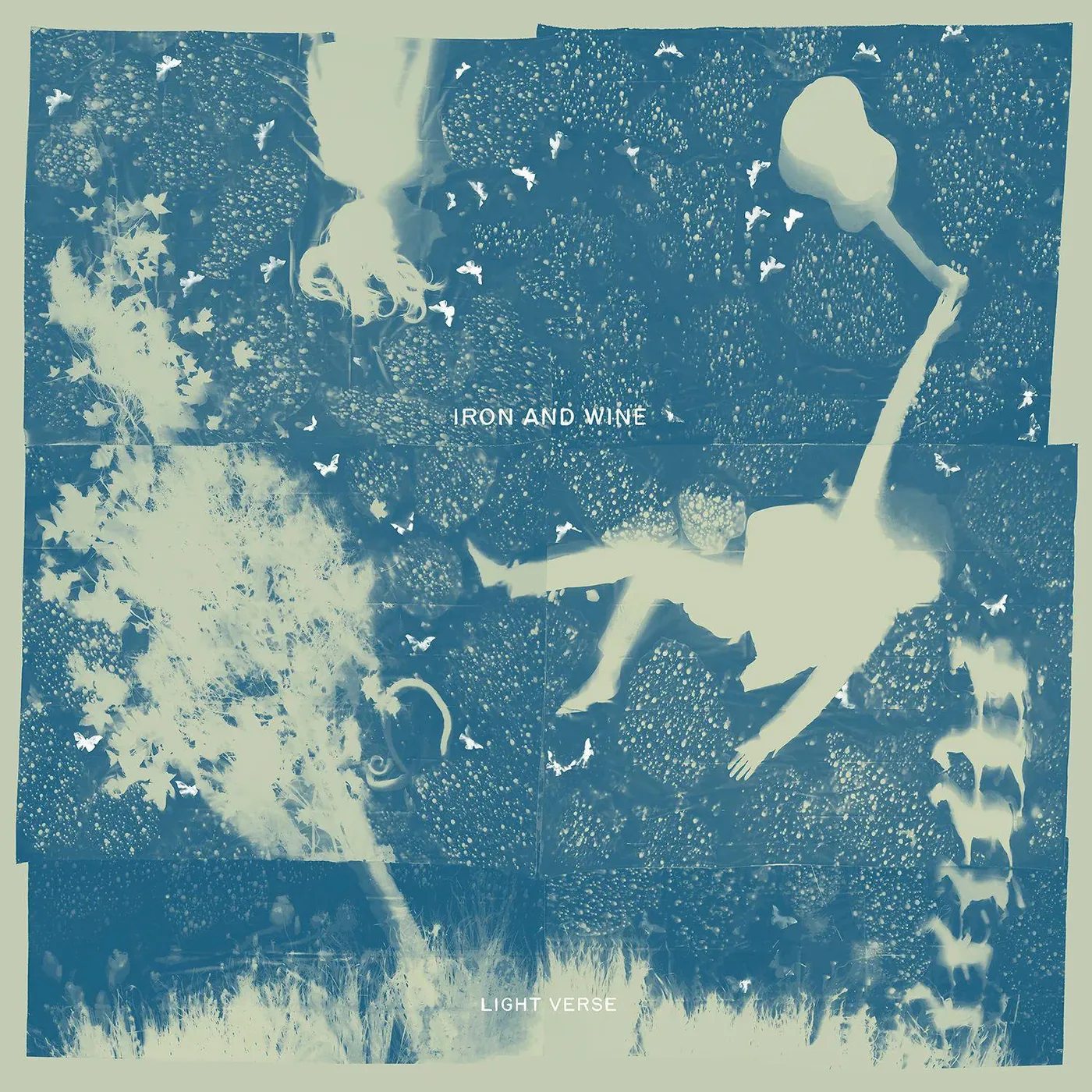 Iron & Wine Light Verse (Clear W/ Blue Swirl) Vinyl Record