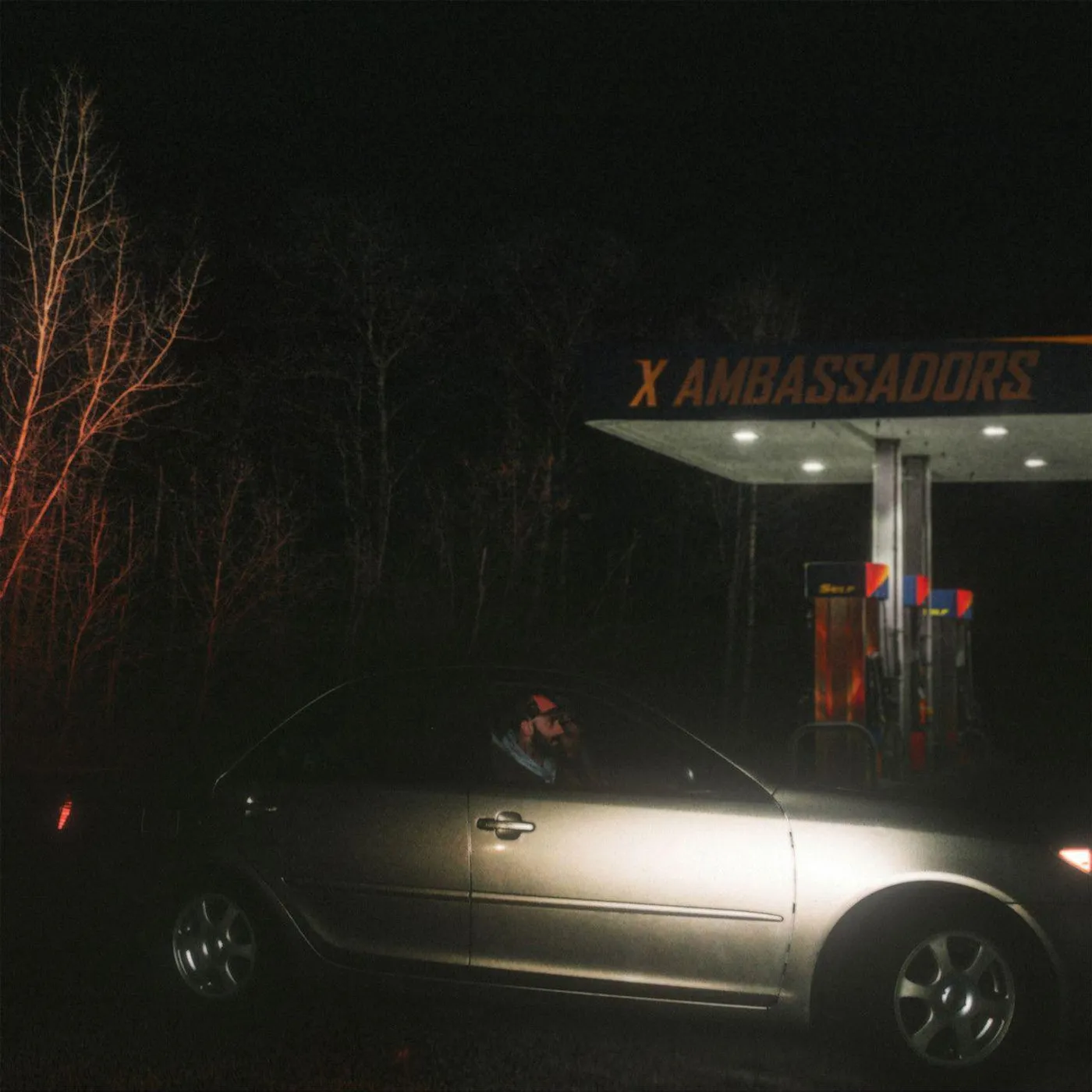 X Ambassadors Townie Vinyl Record