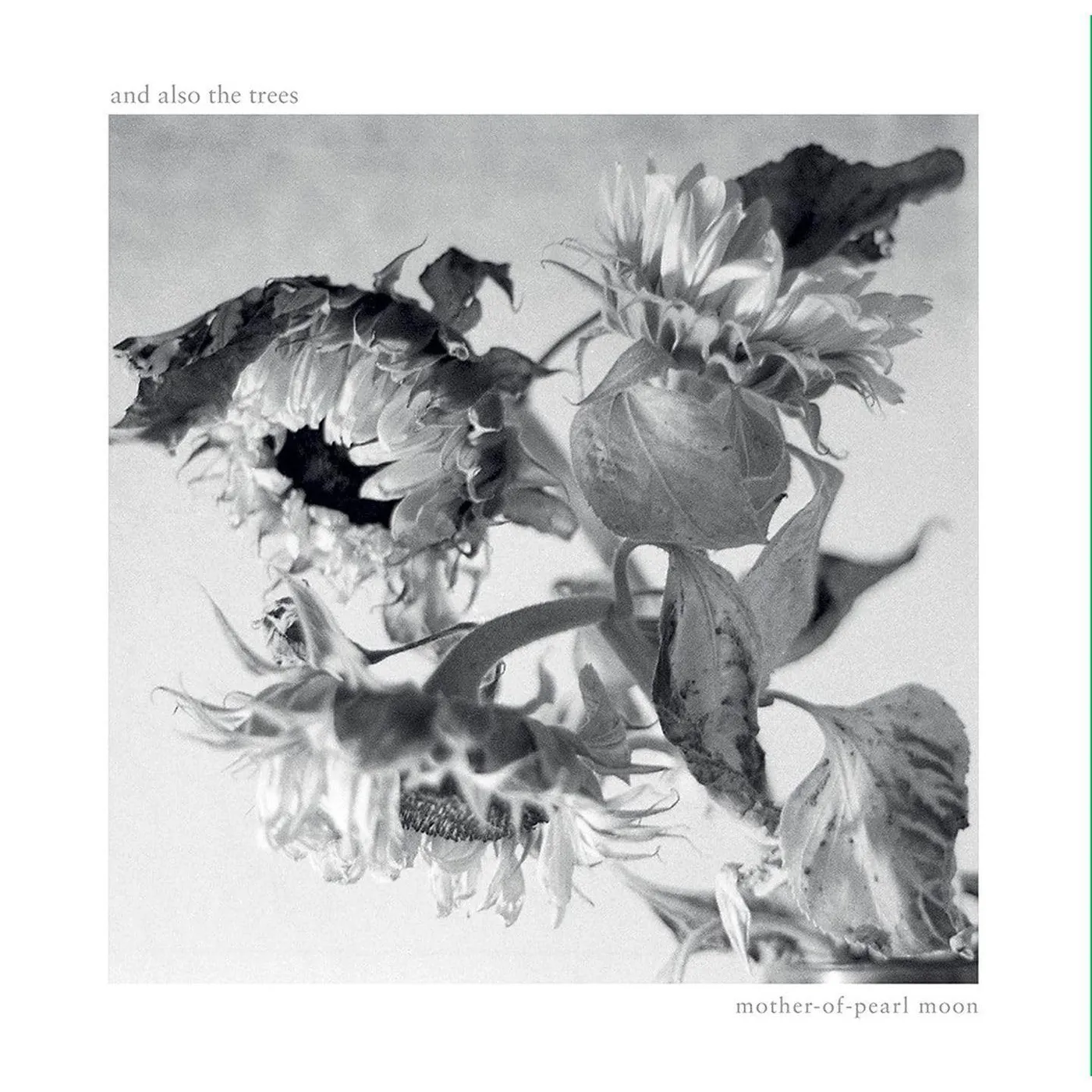 And Also The Trees Mother-Of-Pearl Moon Vinyl Record