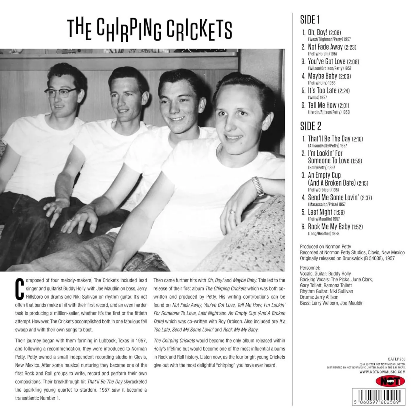  The Chirping The Crickets Vinyl Record