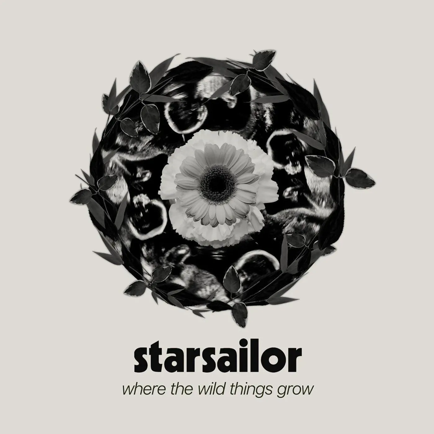 LP「STARSAILOR / Love Is Here」 LTQ3MDUuanBlZw.jpeg