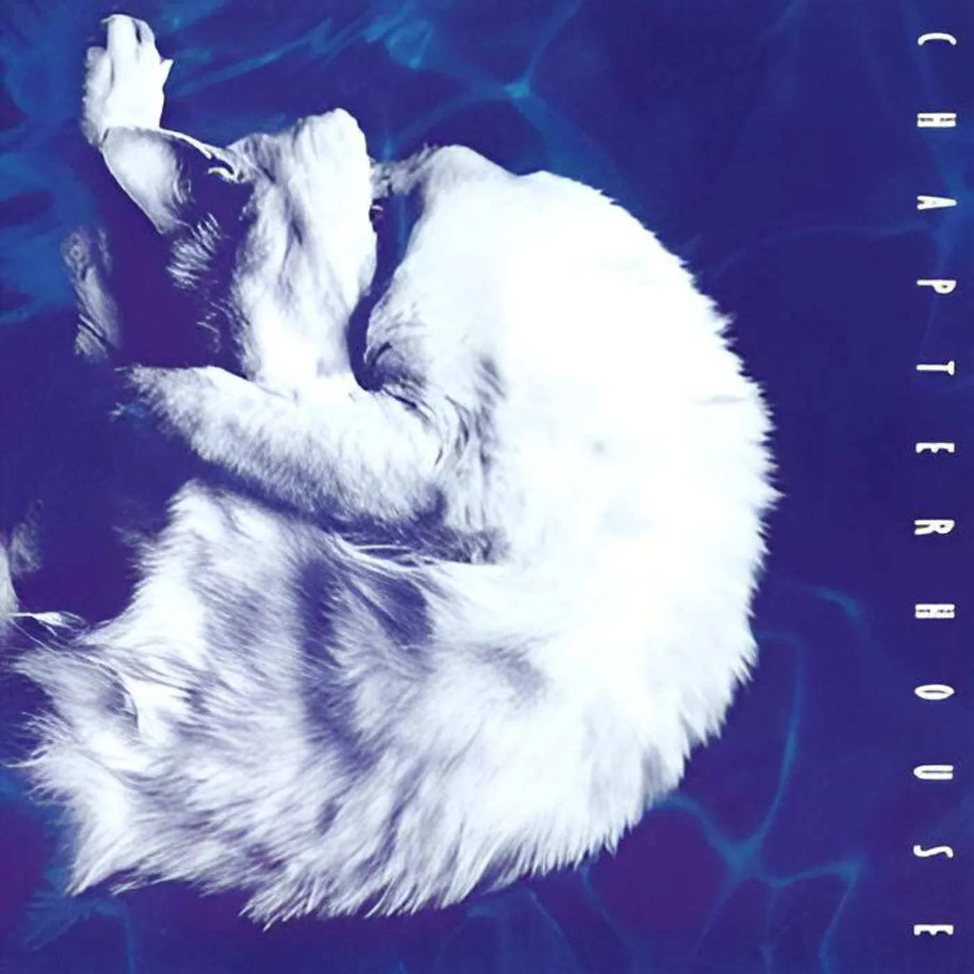 Chapterhouse WHIRLPOOL Vinyl Record